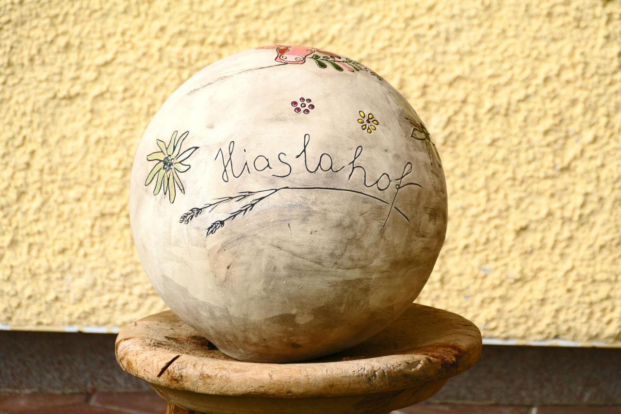 Apartamento Hiaslahof Mariapfarr Exterior foto
